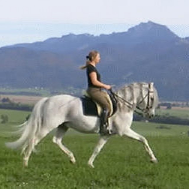 equitazione